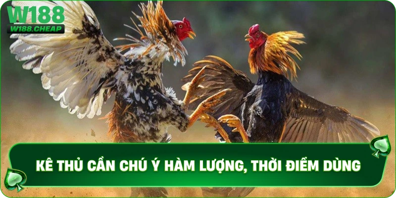 Kê thủ cần chú ý hàm lượng, thời điểm dùng