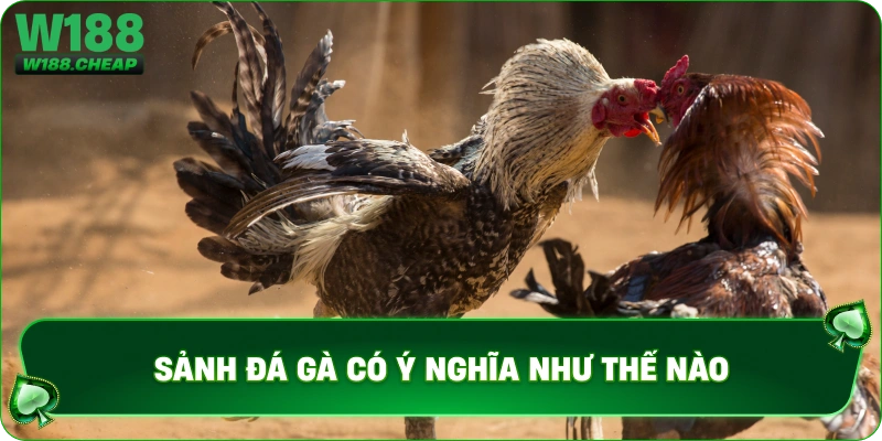 Sảnh đá gà có ý nghĩa như thế nào